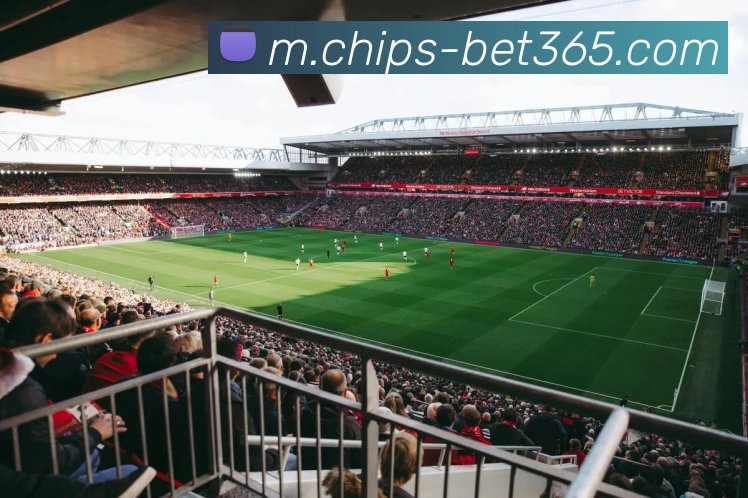 bet365全站App bet365全站App